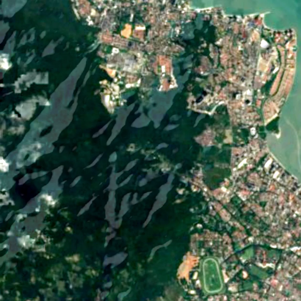 Penang Botanic Gardens seen from above (Sentinel-2)