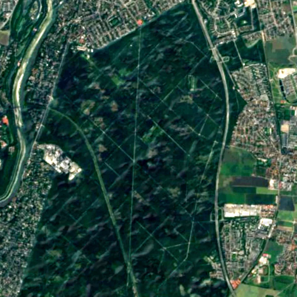 Perlacher Forst seen from above (Sentinel-2)