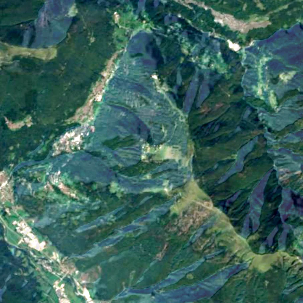Pian delle Betulle seen from above (Sentinel-2)