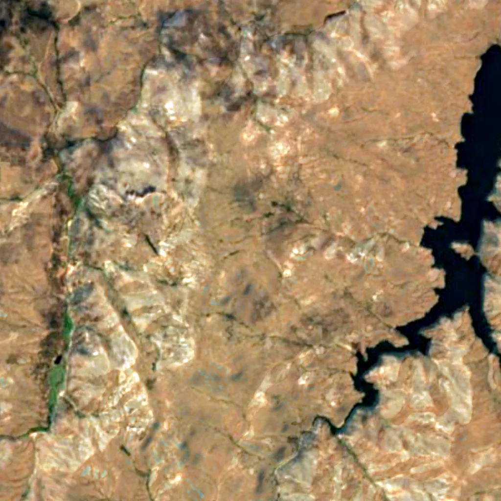 Pike National Forest seen from above (Sentinel-2)