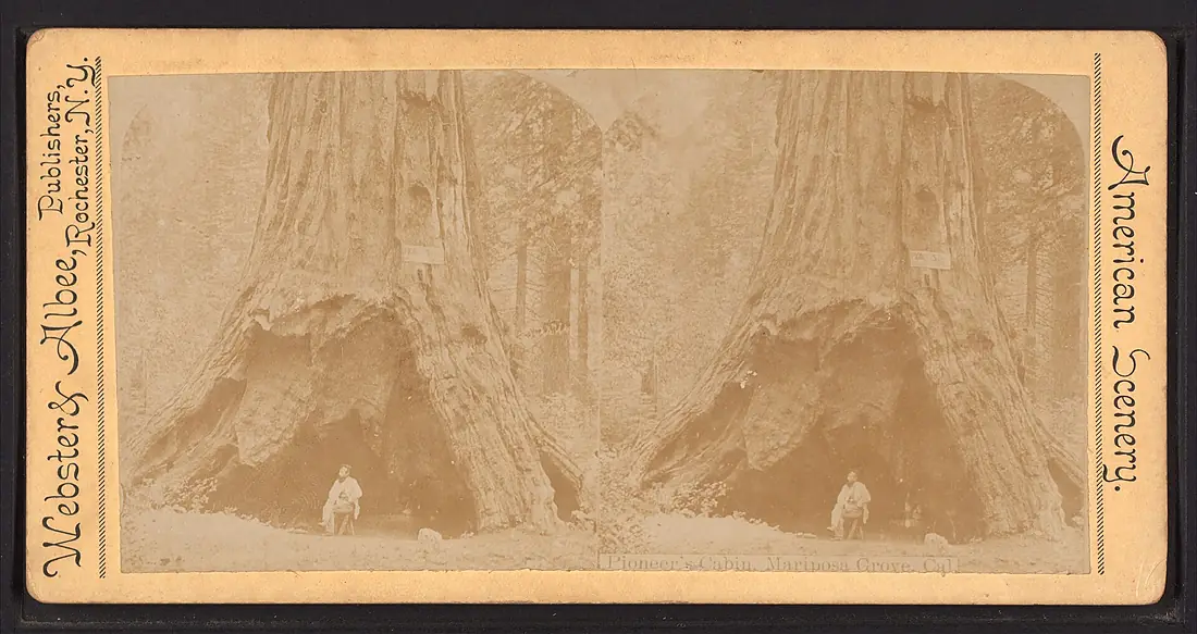 Pioneer's Cabin, Mariposa Grove, Cal, by E. & H.T. Anthony (Firm)