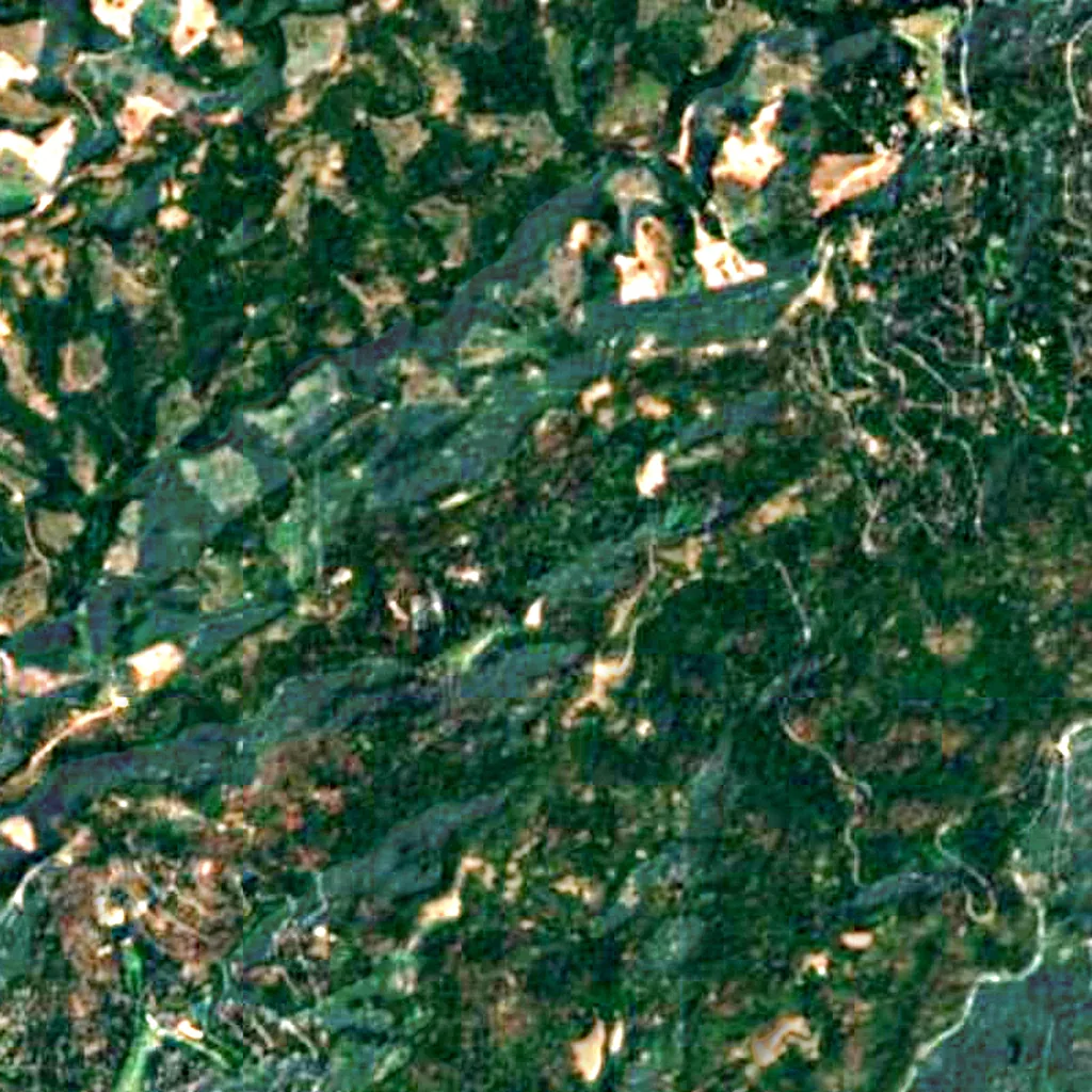 Pioneer Cabin Tree seen from above (Sentinel-2)