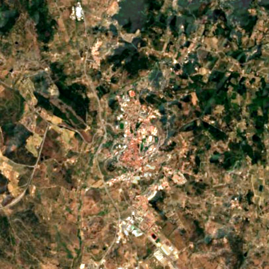 Plane tree from Rossio seen from above (Sentinel-2)