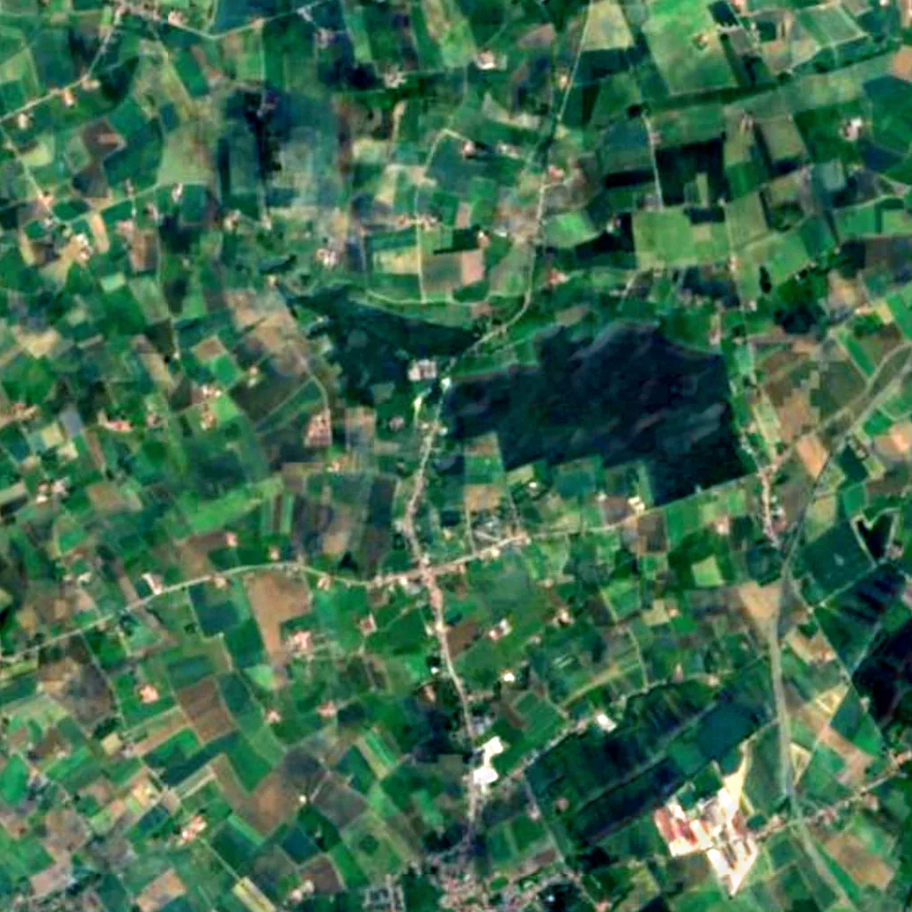 Ploegsteert Wood seen from above (Sentinel-2)