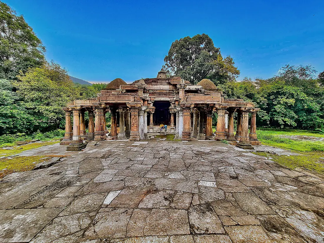0081423 Jain temples of Abhapur, Polo forest, Gujarat 237