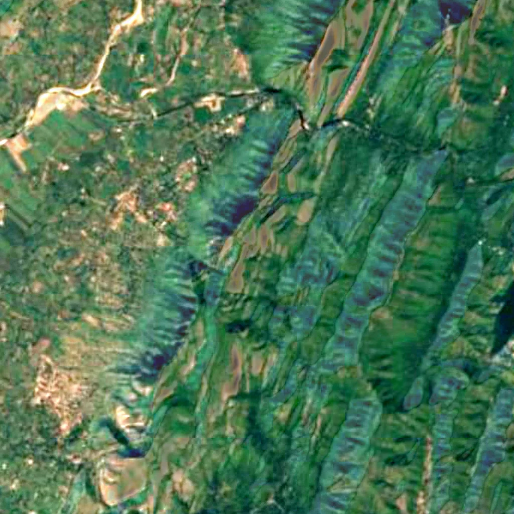 Polo forest seen from above (Sentinel-2)