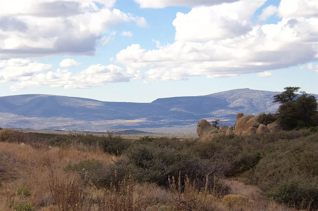 Prescott National Forest region 2015 003