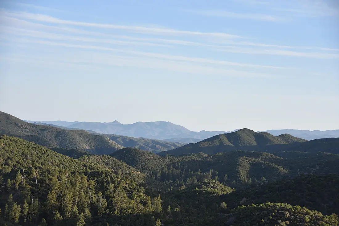 Prescott National Forest