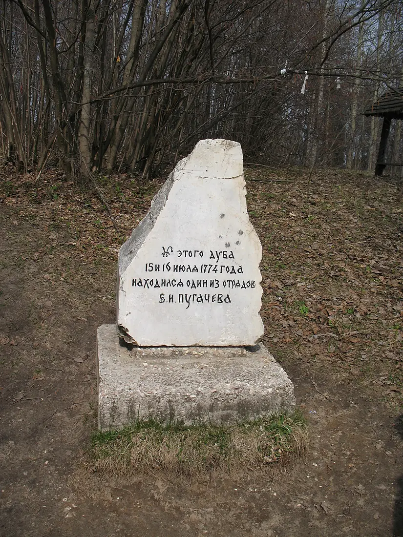 Дуб Пугачева, весна - panoramio - Александр Фукс