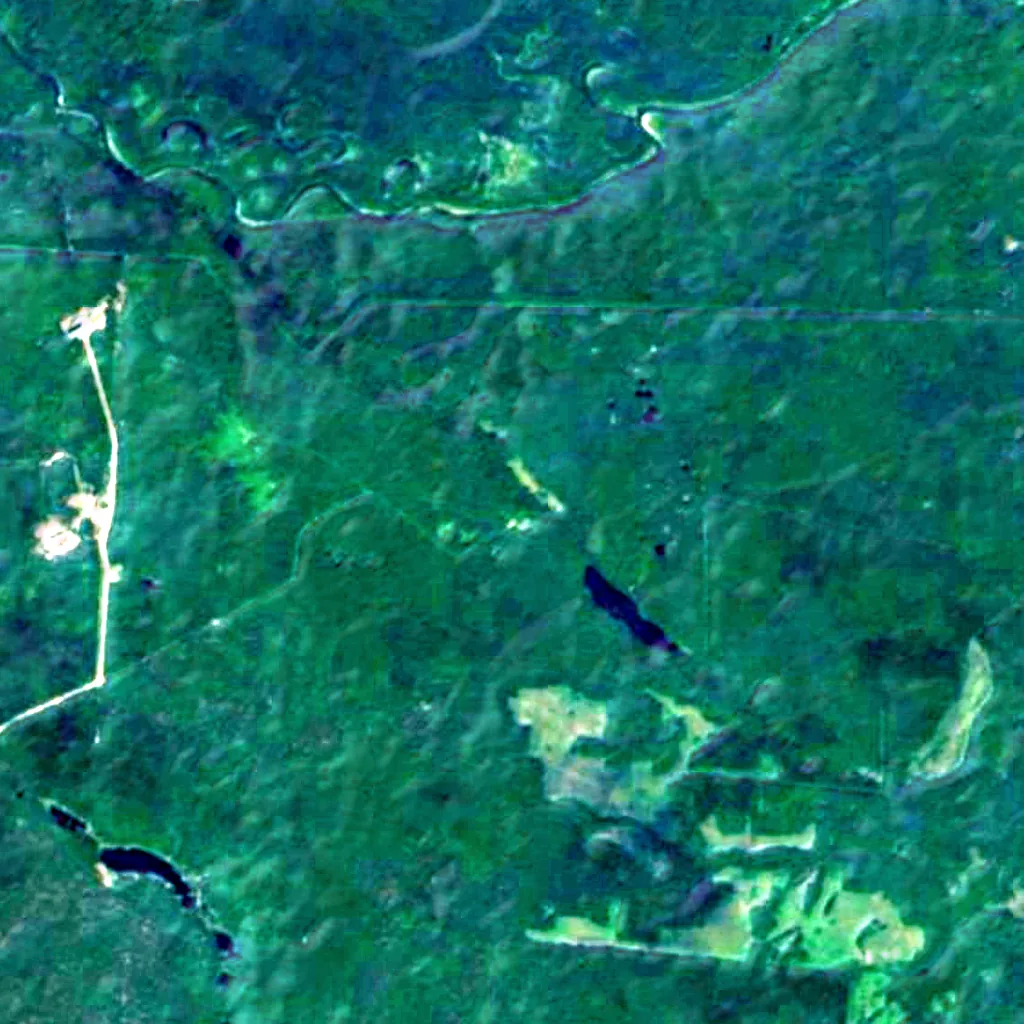 Pugachov's Oak seen from above (Sentinel-2)