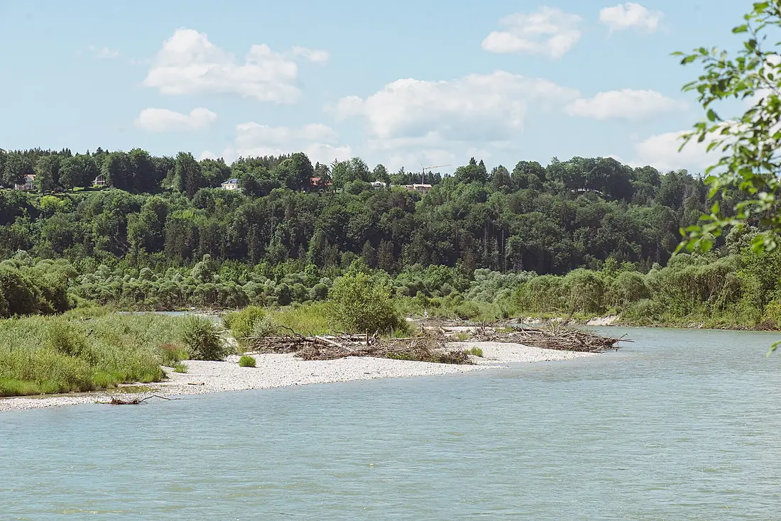 20220611 Isar Pupplinger Au 01