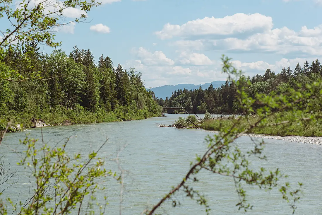 20220611 Isar Pupplinger Au 02