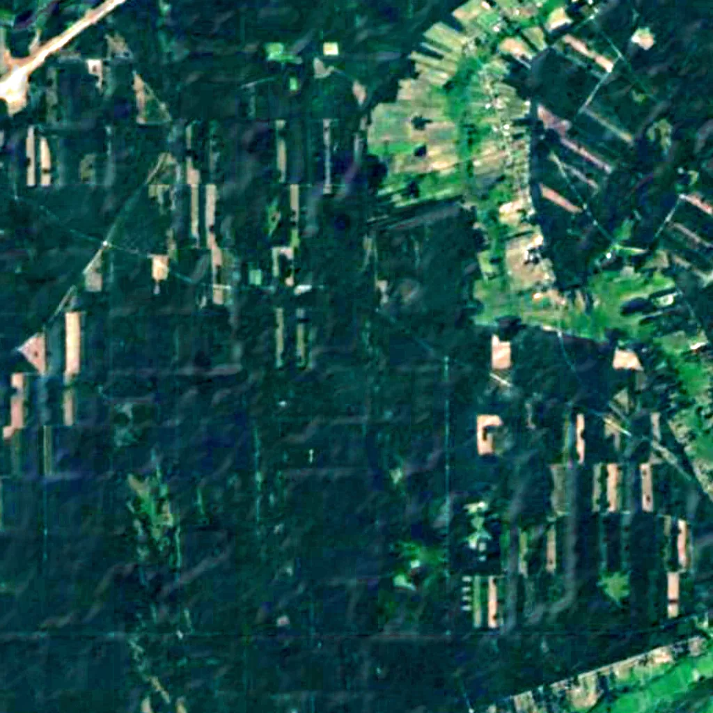 Puszcza Biała seen from above (Sentinel-2)