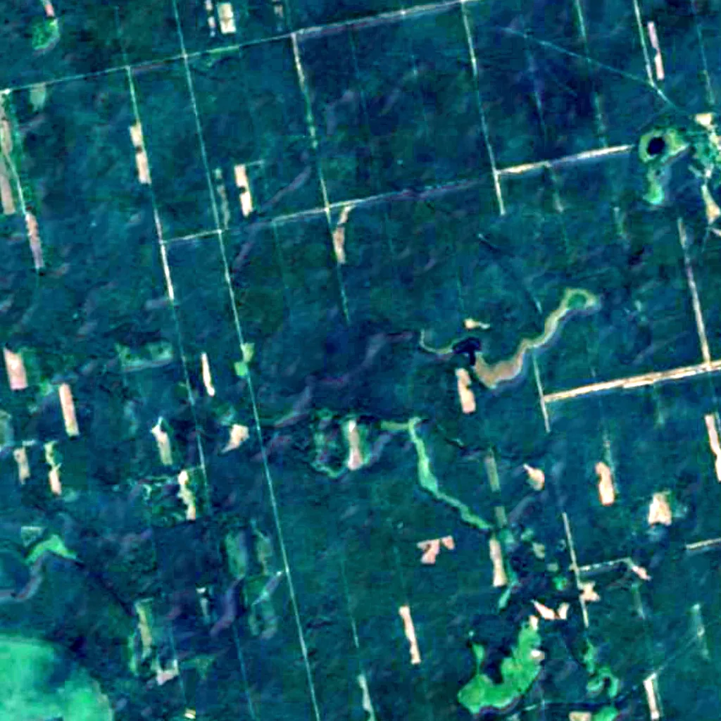 Puszcza Piska Forest seen from above (Sentinel-2)