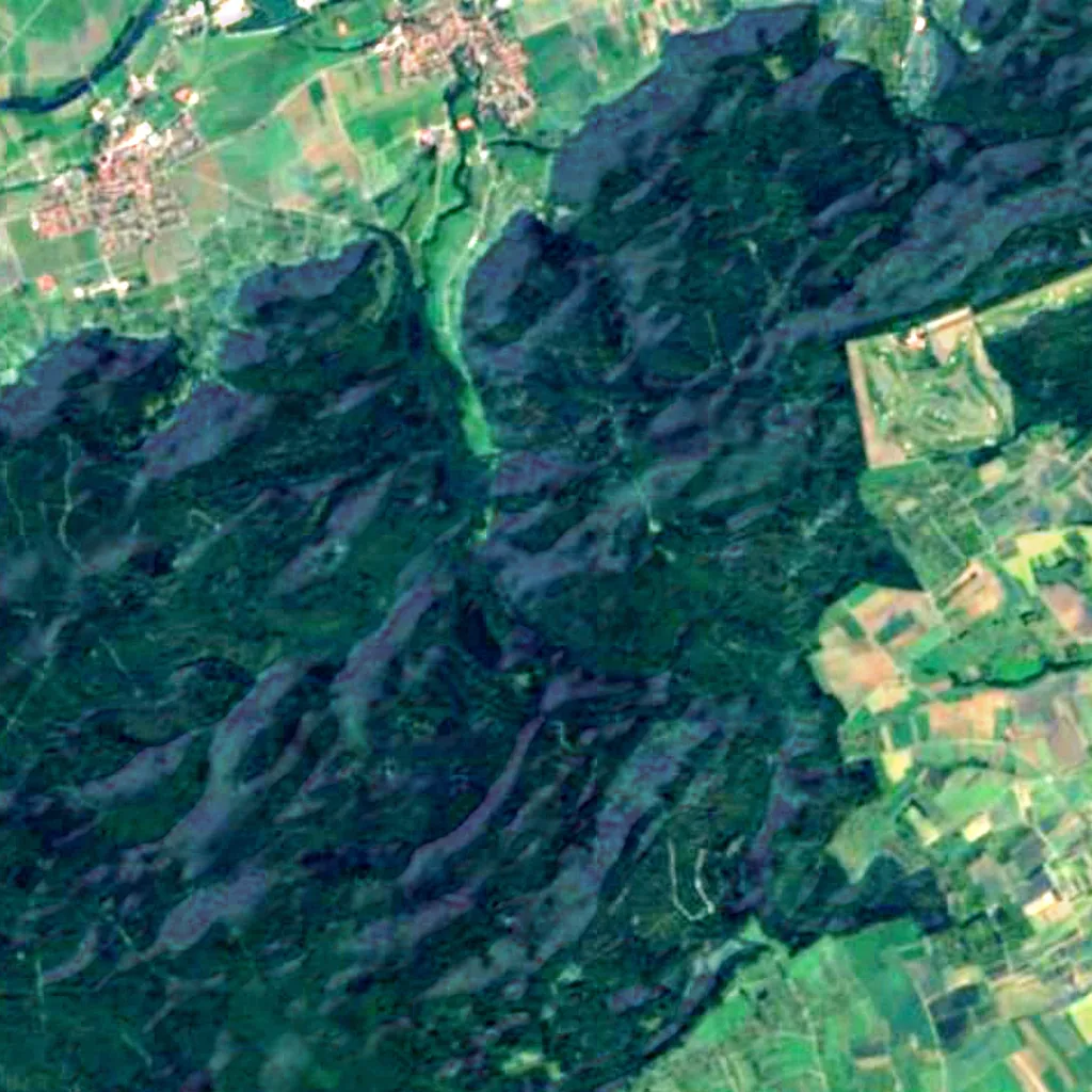 Rammert seen from above (Sentinel-2)