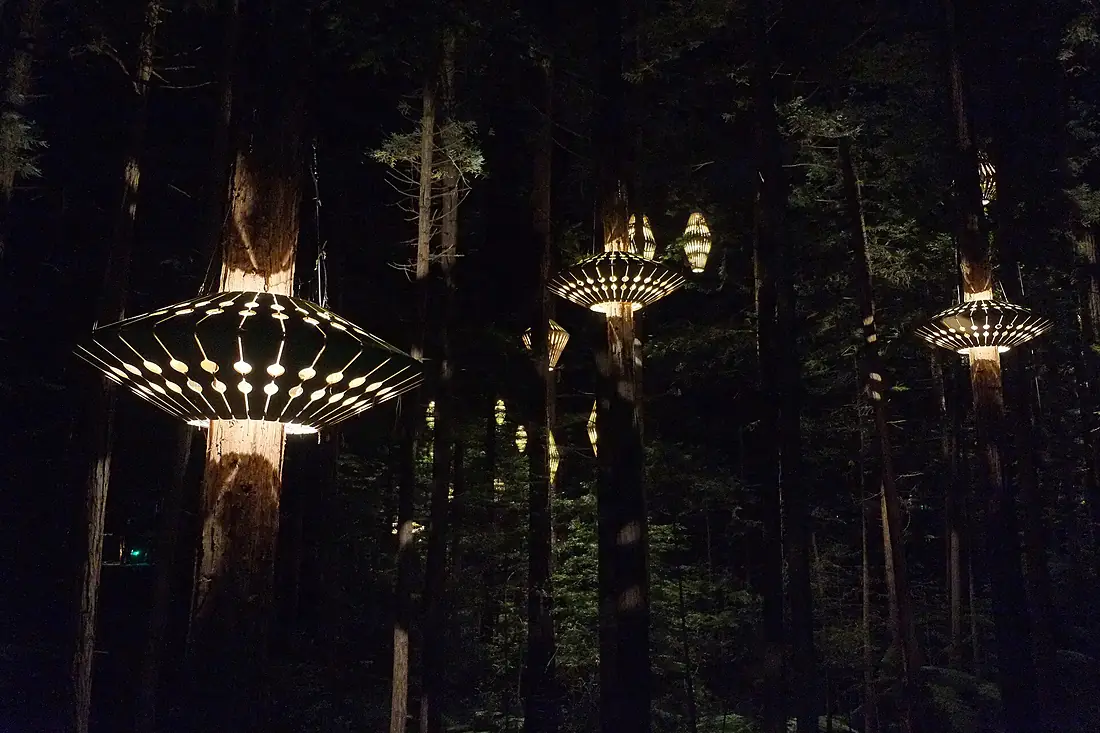 Lit sculptures on tree trunks