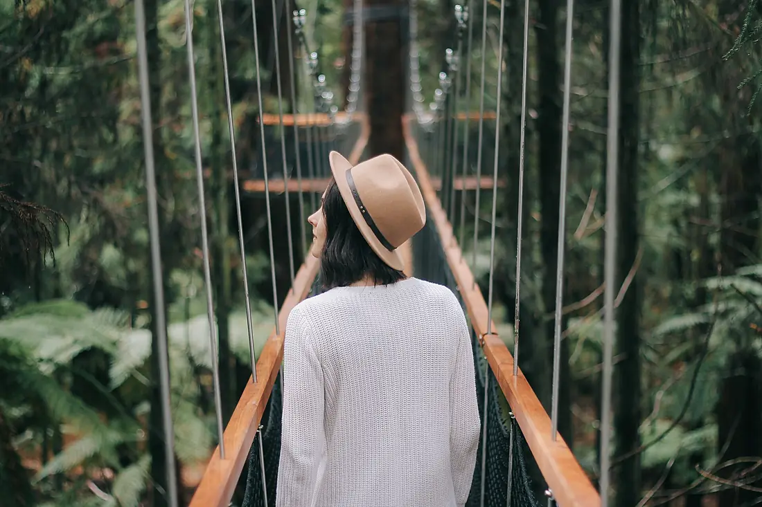 Redwoods, Rotorua, New Zealand (Unsplash)