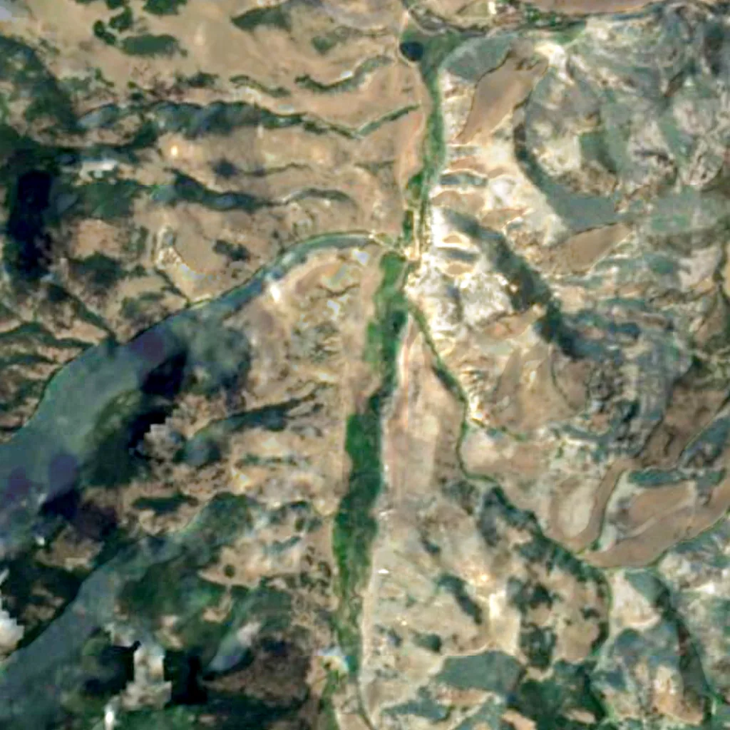 Rio Grande National Forest seen from above (Sentinel-2)