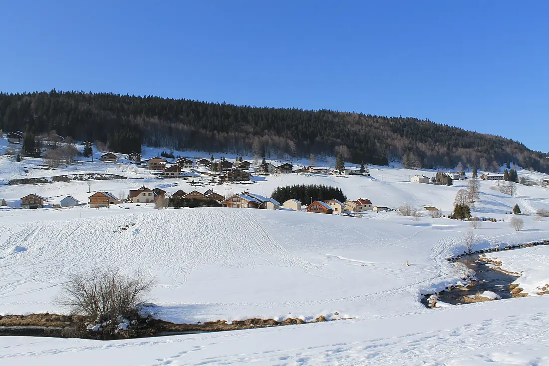 Bois-d'Amont - panoramio (24)