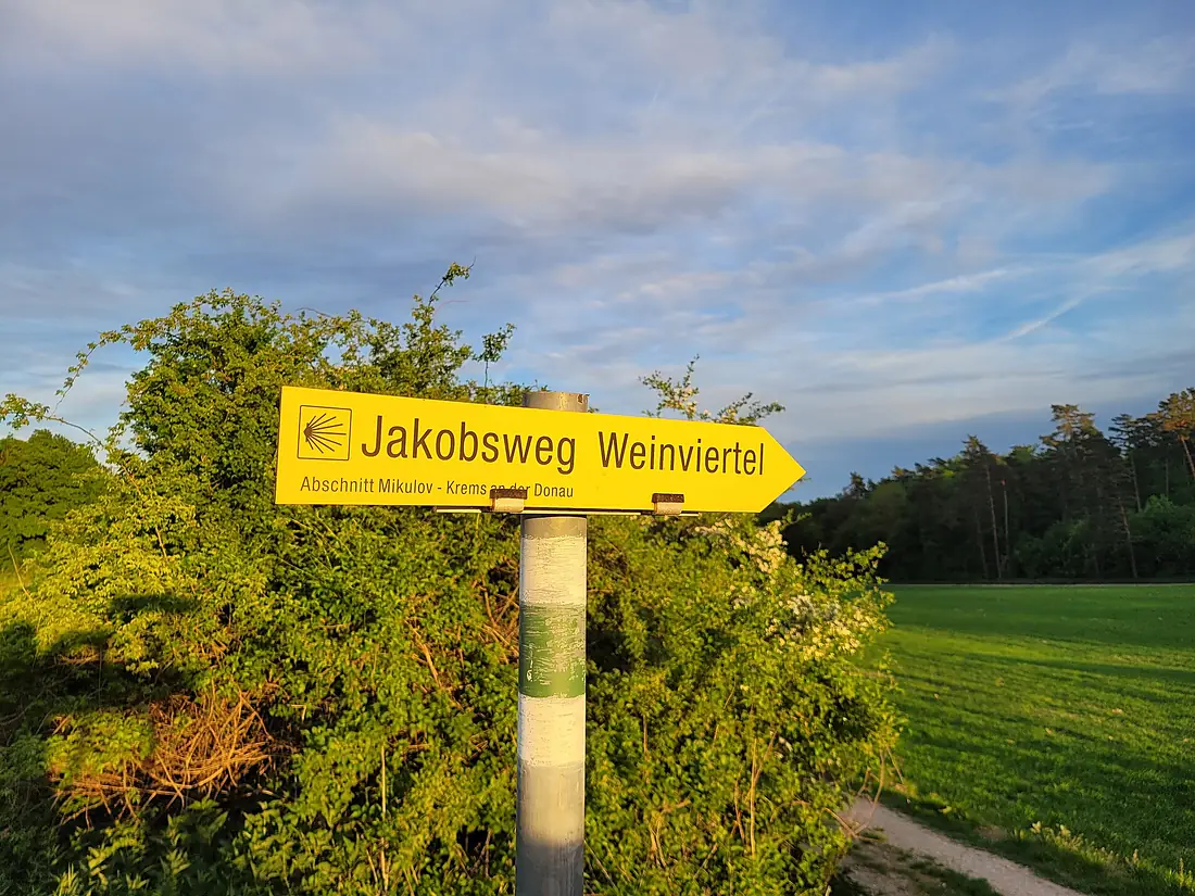 Jakobsweg Wegweiser im Rohrwald