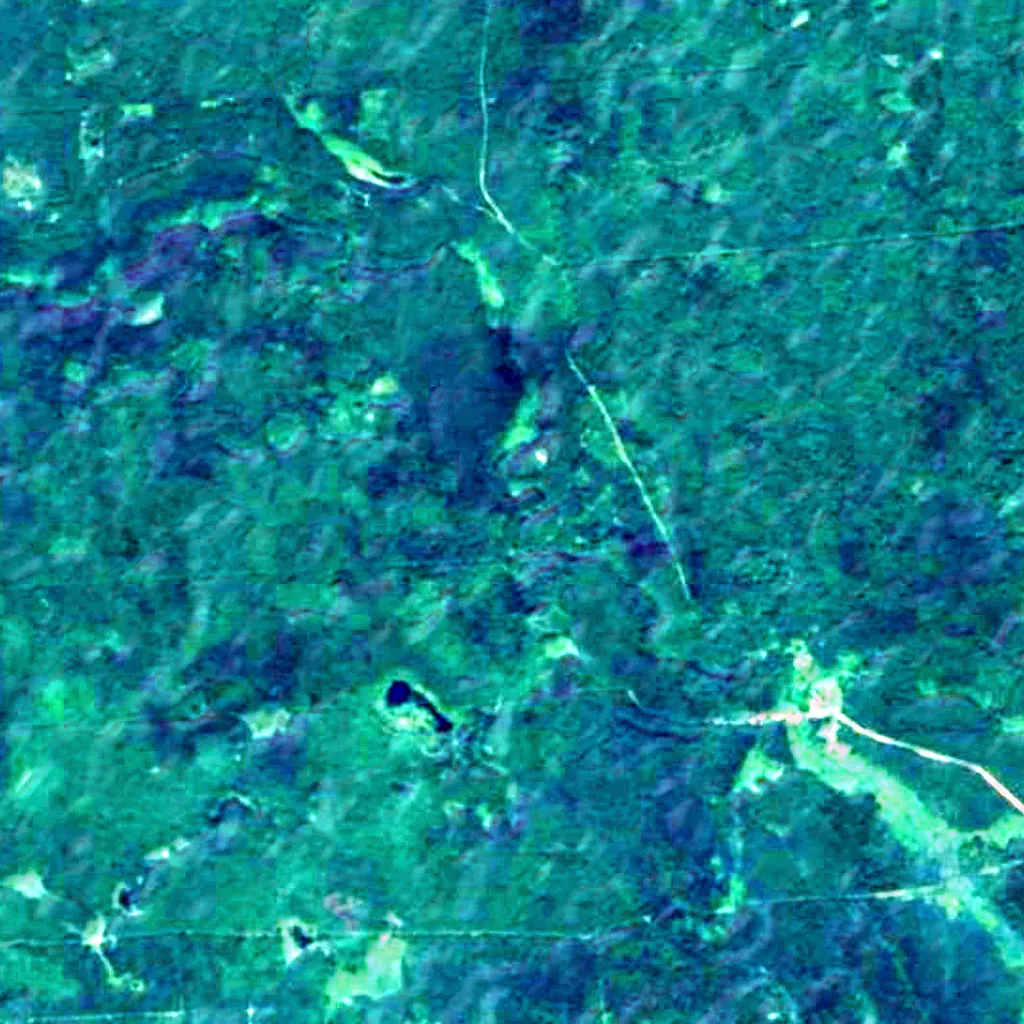 Romincka Forest seen from above (Sentinel-2)