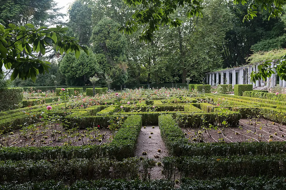 Porto-Casa de Serralves-Roseiral-20140910