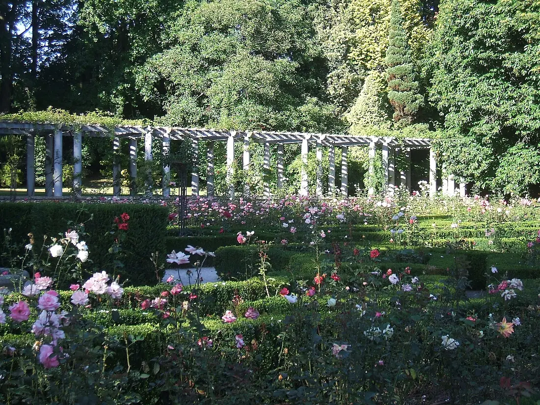 Serralves Foundation (6847120029)