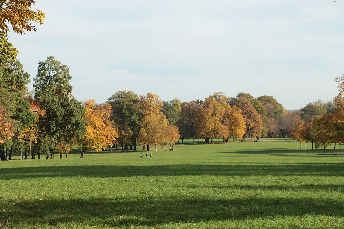 Futterwiese im Rosensteinpark