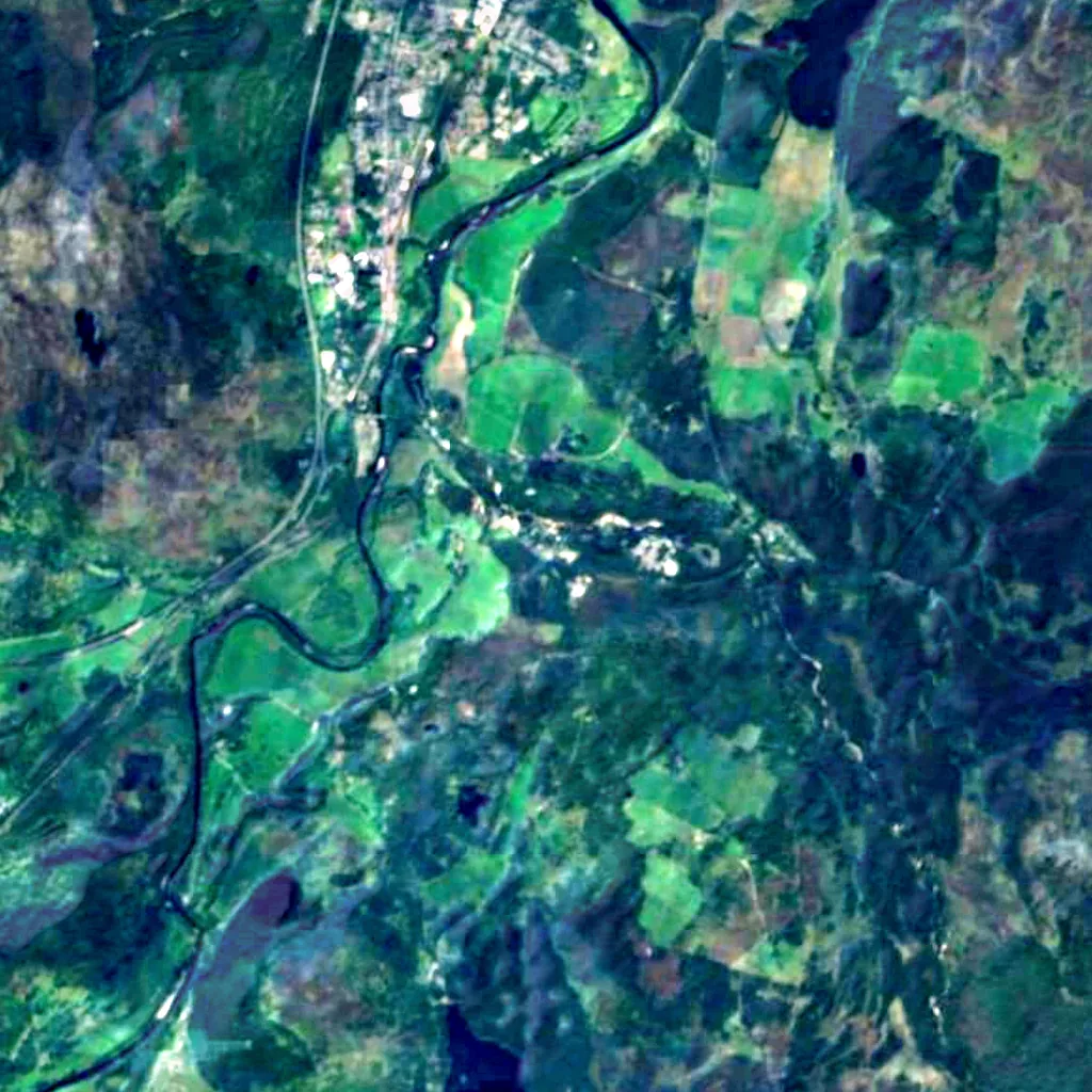 Rothiemurchus Forest seen from above (Sentinel-2)