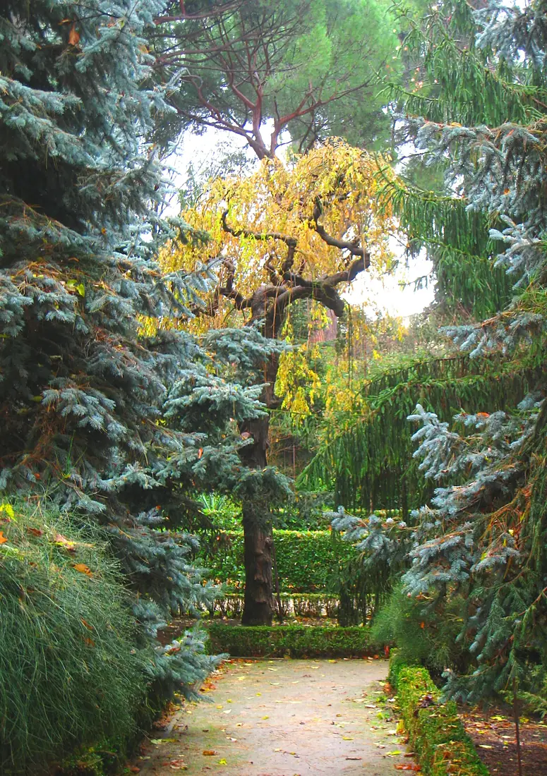 Royal Botanical Garden, Madrid - view 08