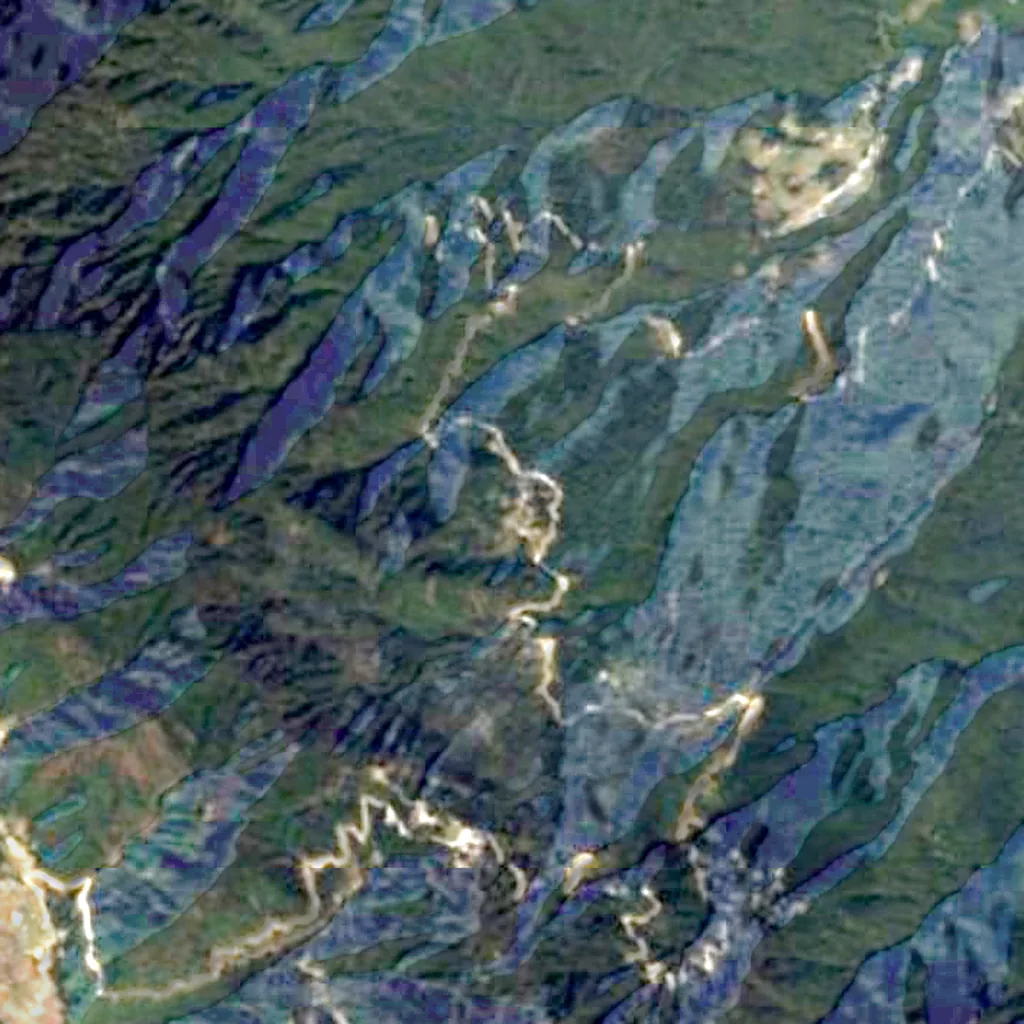 Royal Botanical Garden seen from above (Sentinel-2)