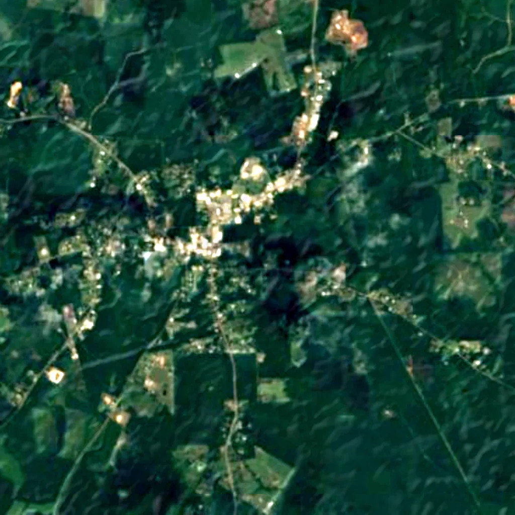 Sabine National Forest seen from above (Sentinel-2)
