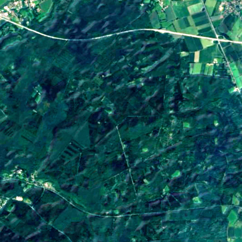 Sachsenwald seen from above (Sentinel-2)