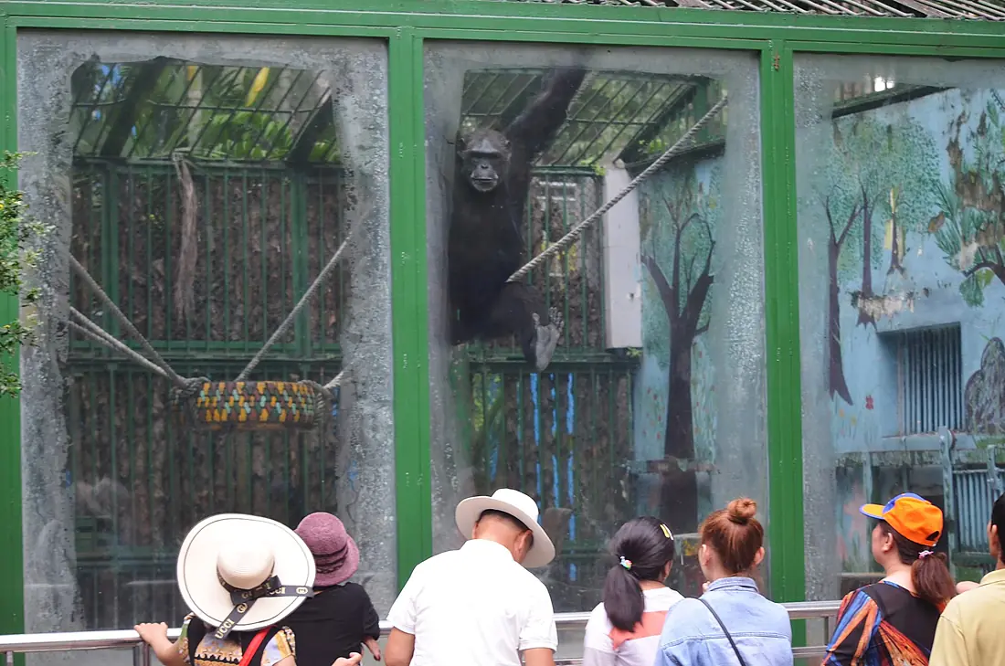 Botanical Gardens, Ho Chi Minh City (49015302751)