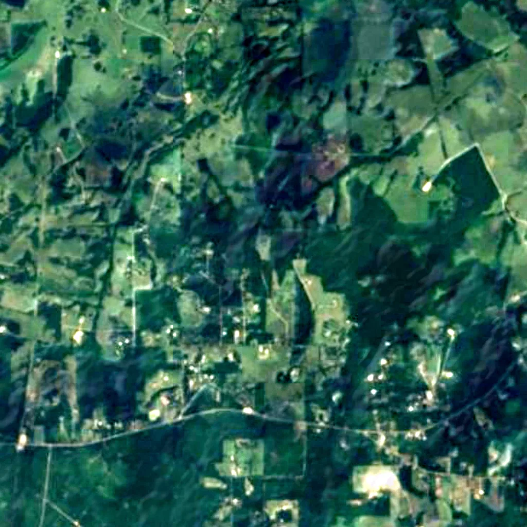 Sam Houston National Forest seen from above (Sentinel-2)