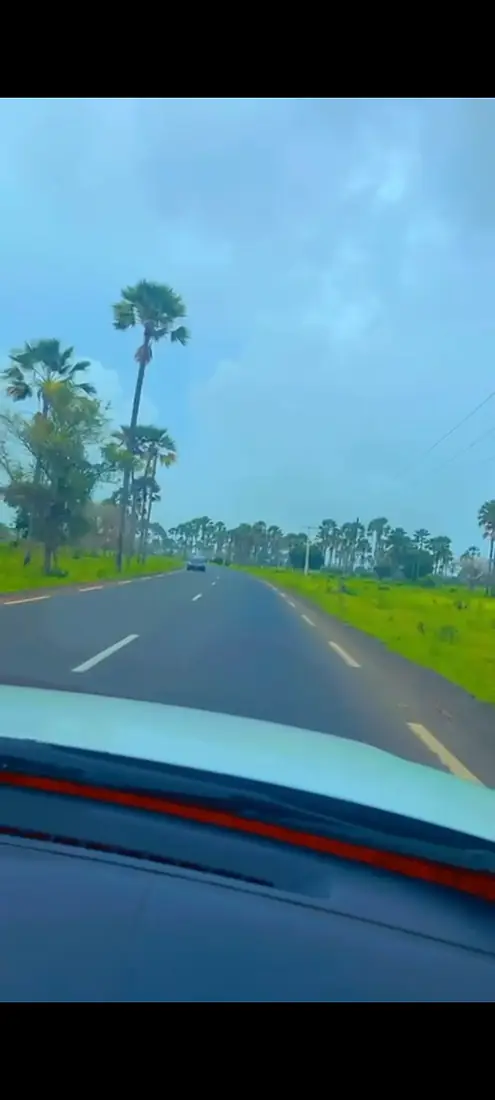 Forêt classée de Samba Dia au Sénégal 02