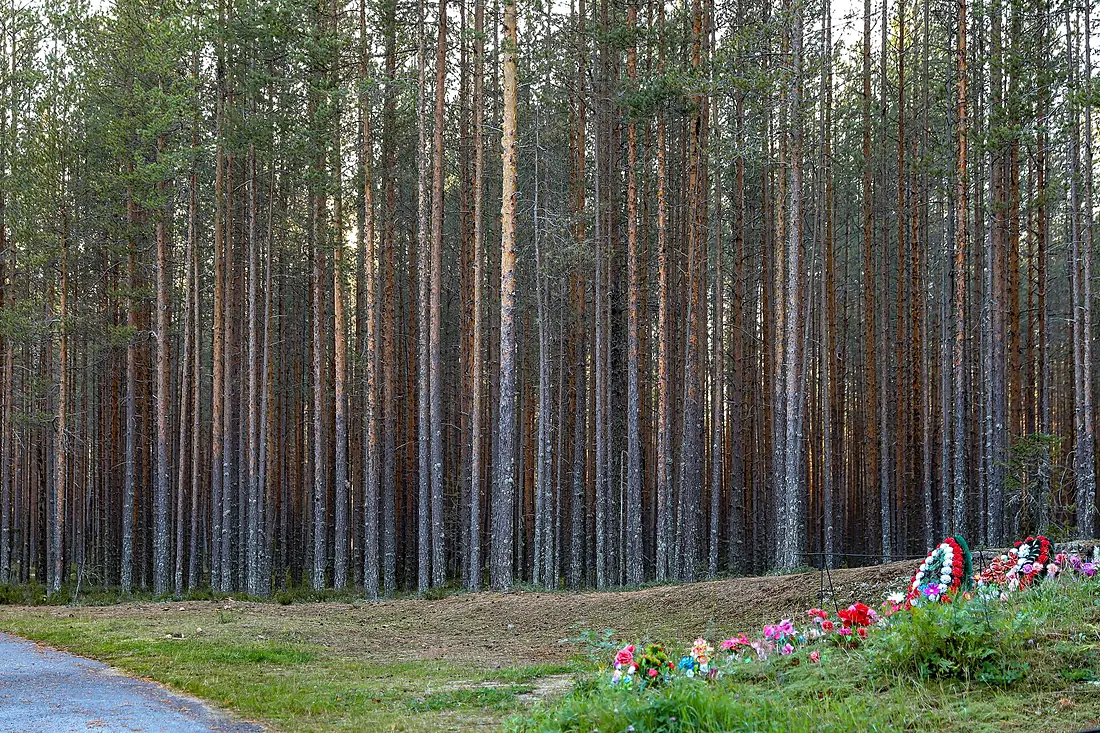 Sandarmoh, Russia (44383162304)