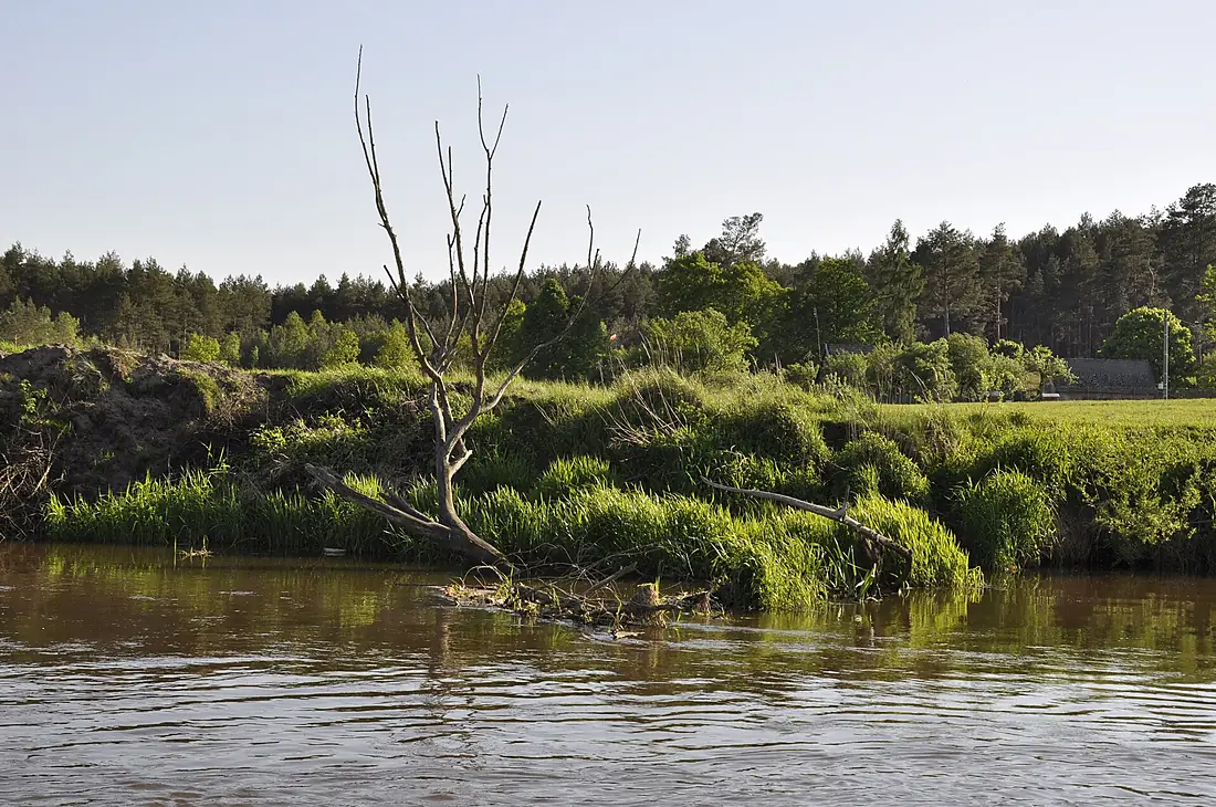 Rzeka Łęg, Burdze