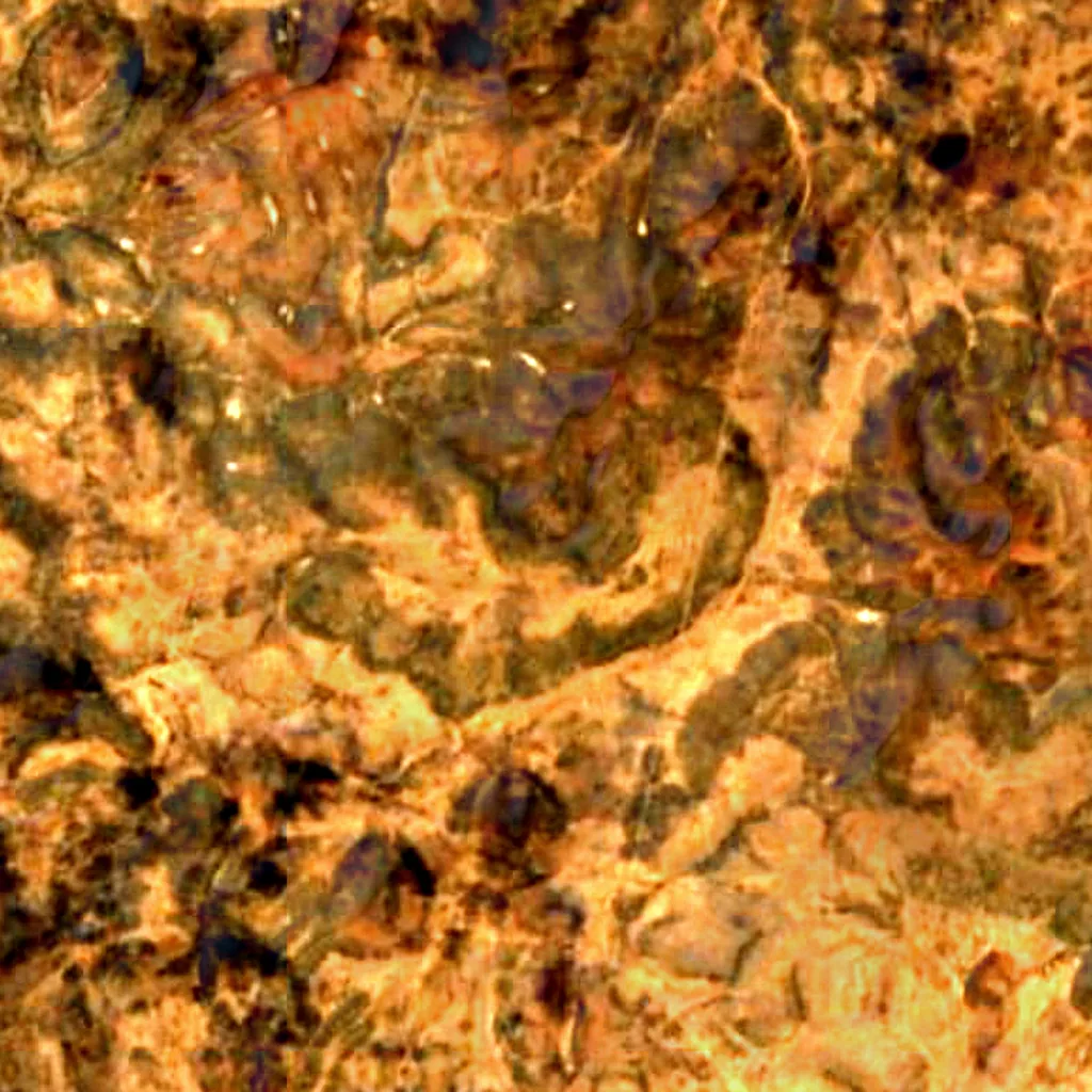 Santa Fe National Forest seen from above (Sentinel-2)