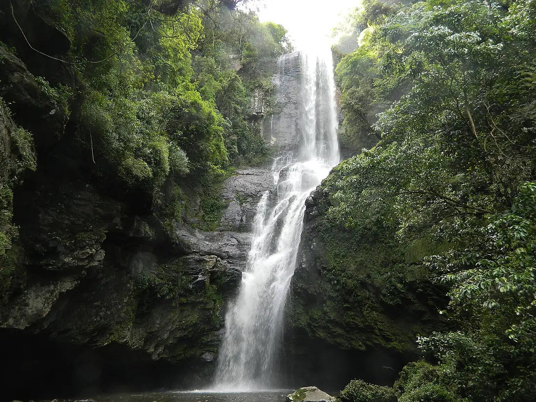 FlorestaNacionaldeSãoFranciscodePaula NairaRegisdeMoura (04)