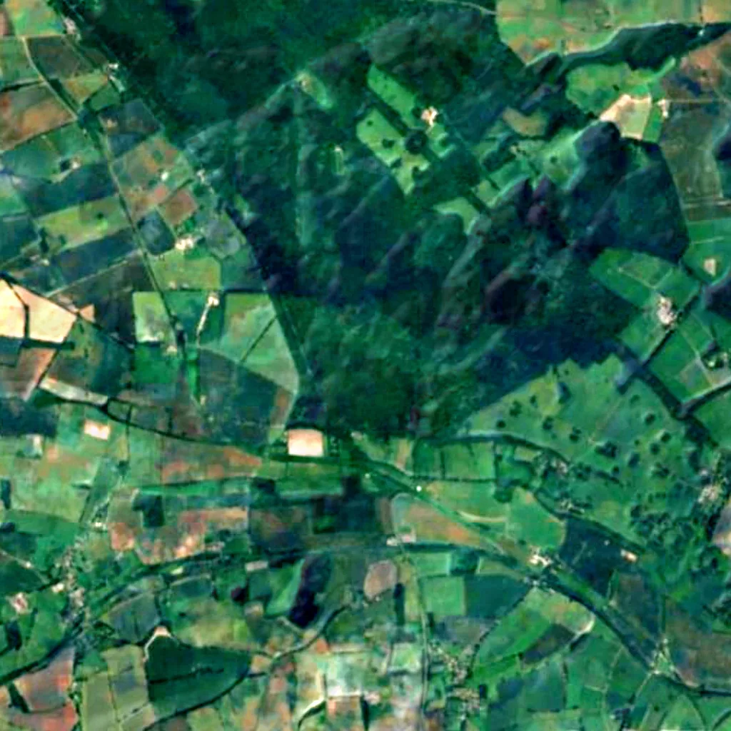 Savernake Forest seen from above (Sentinel-2)