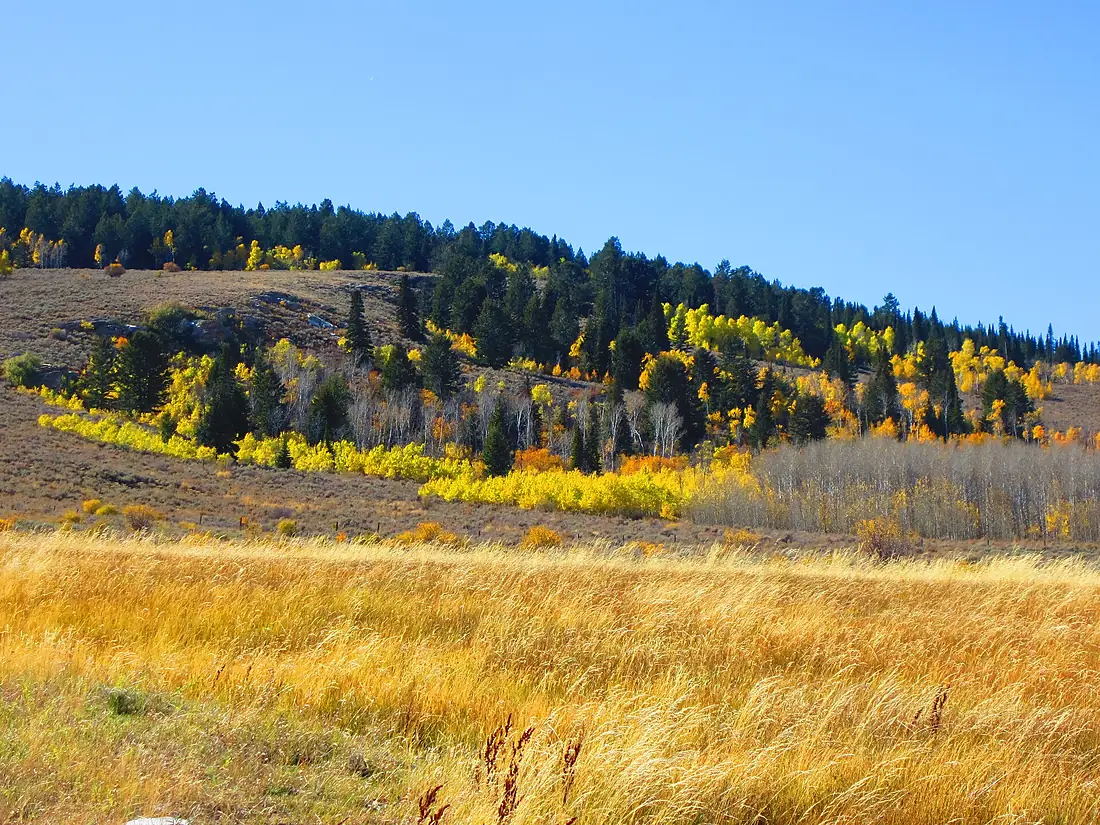 Fall colors on the Raft River Range (11877336754)