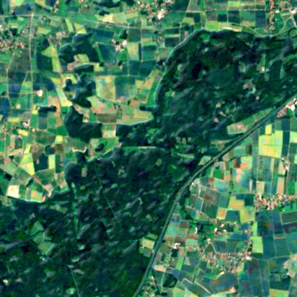 Schaumburg Forest seen from above (Sentinel-2)