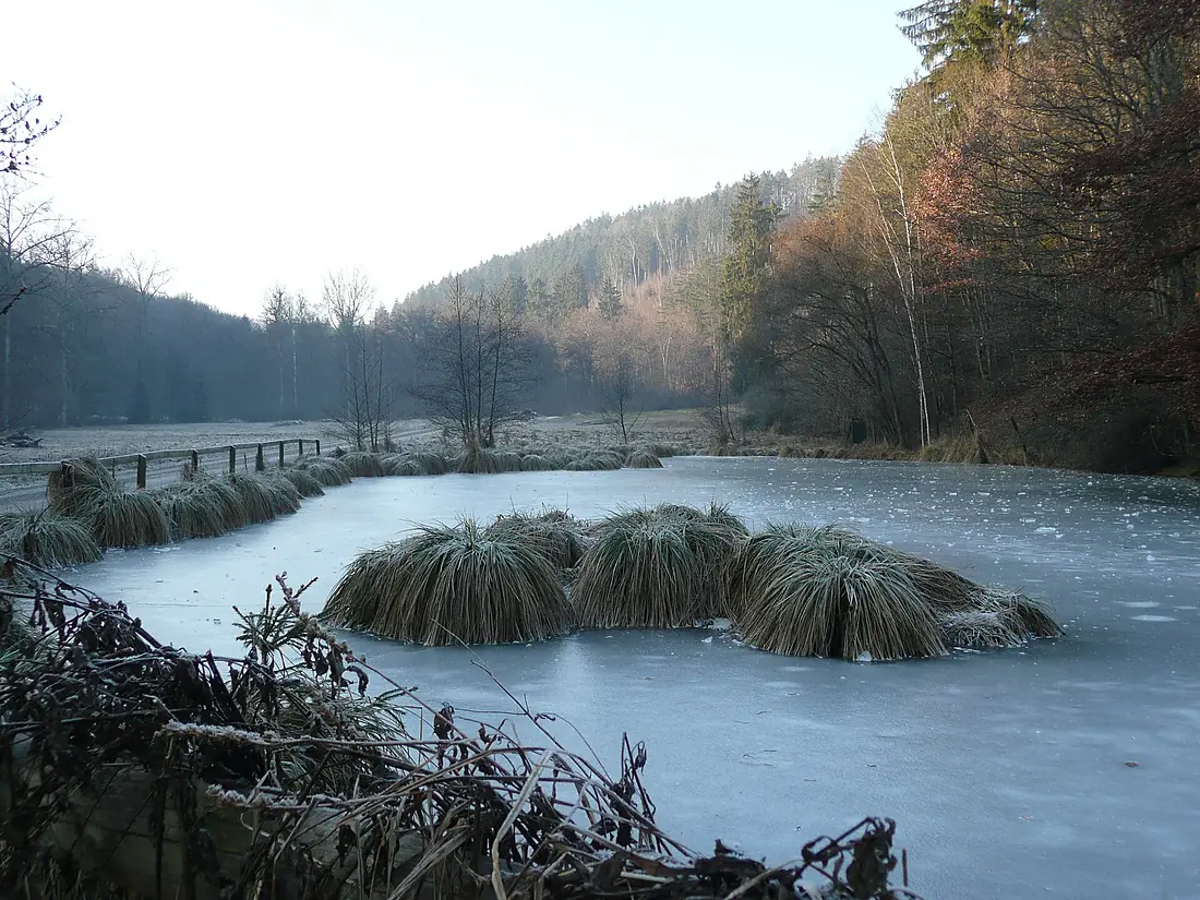 Bei der Teufelsbrücke im Naturpark Schönbuch mit Grillplatz - panoramio