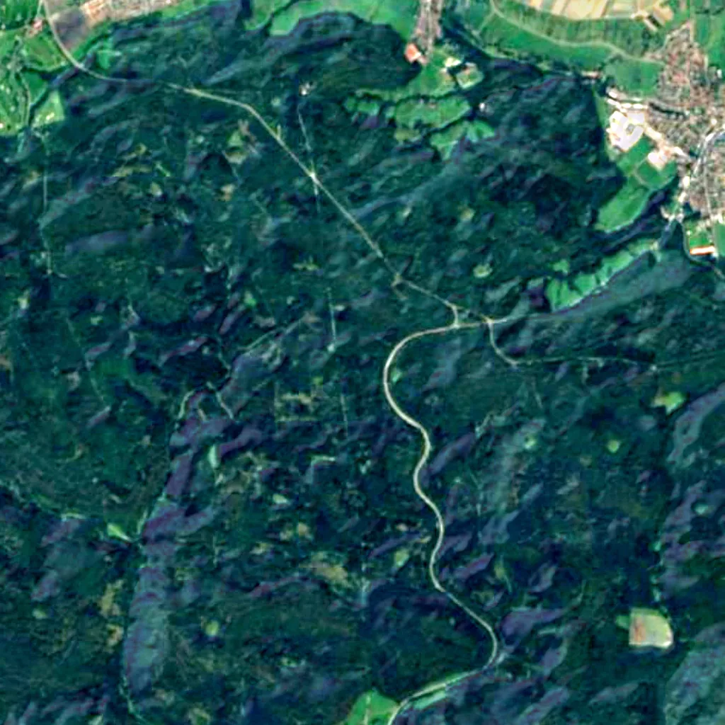 Schönbuch seen from above (Sentinel-2)