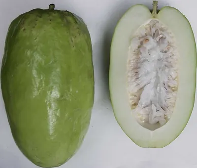 Giant granadilla