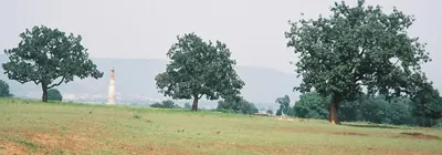 Mahua