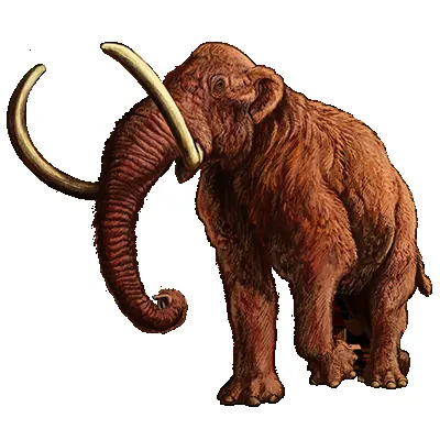 Woolly mammoth