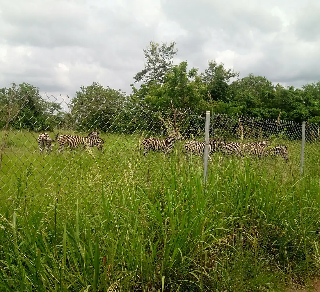 Shai Hills Reserve (1)