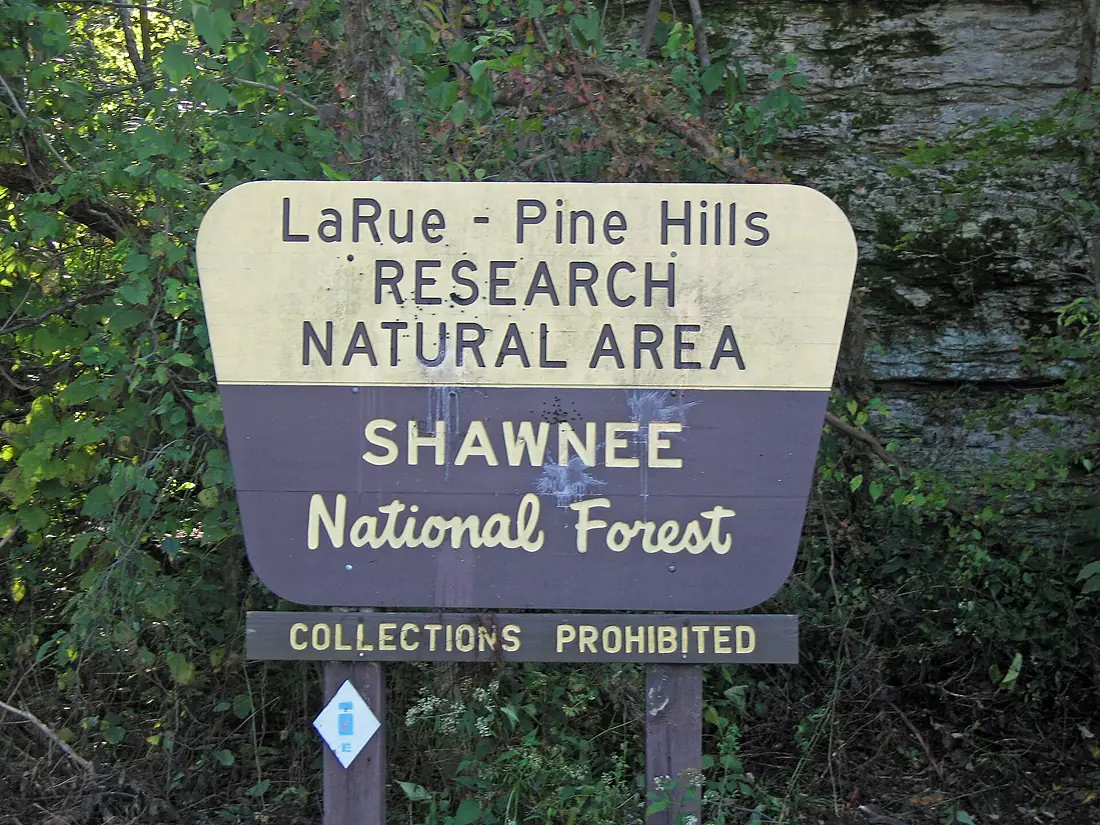 Larue-Pine Hills, Shawnee National Forest - Flickr - GregTheBusker